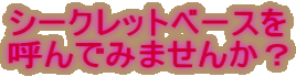 シークレットベースを 呼んでみませんか？